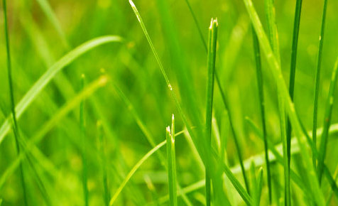 求助免费ddos在线攻击测试网站